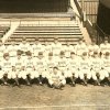 Seattle 1939 - Pacific Coast League